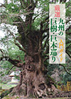 厳選九州の巨樹・巨木巡り　入門ガイド